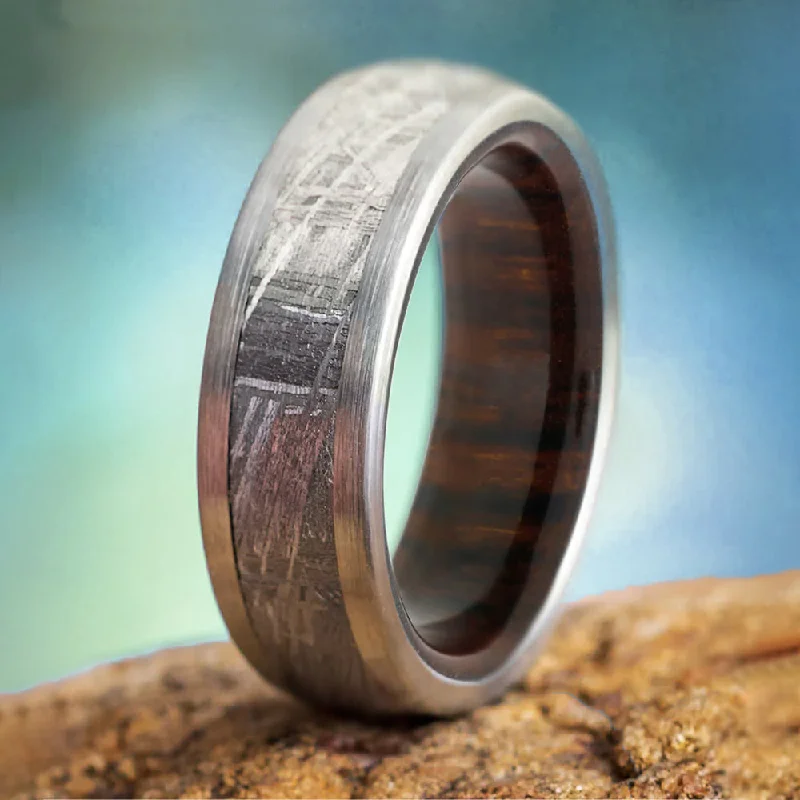 Meteorite Ring With Wood Sleeve in Titanium