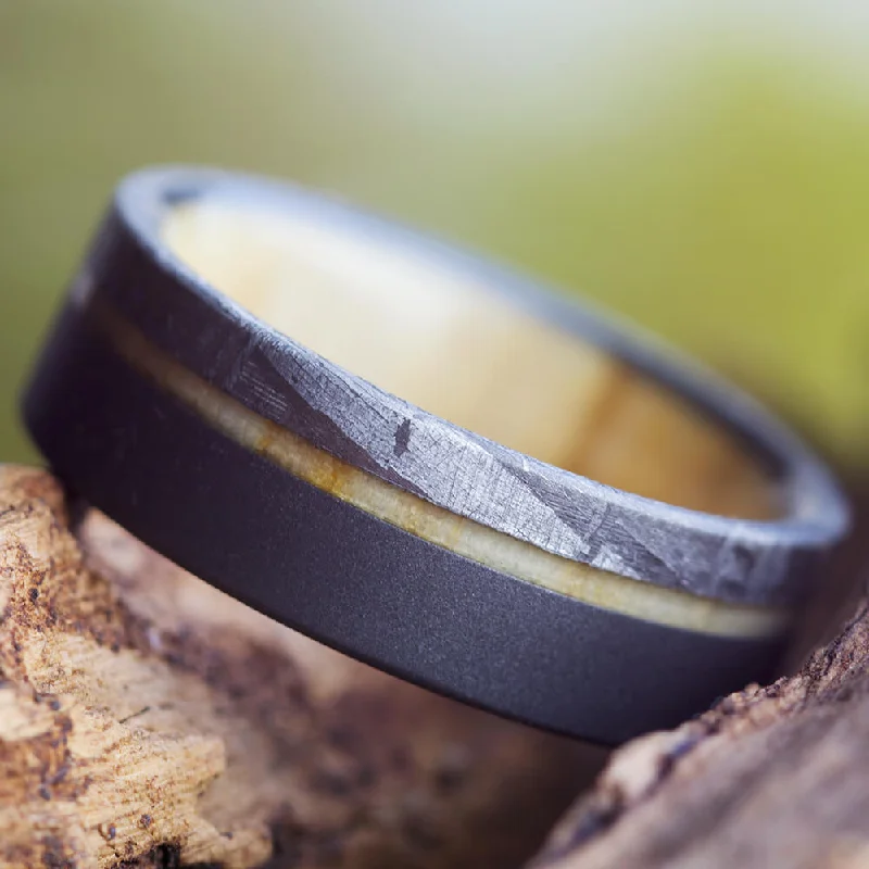 Wood & Meteorite Men's Wedding Band in Sandblasted Titanium